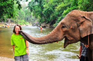 circuit thailande elephant