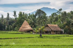 Voyage personnalisé à Bali